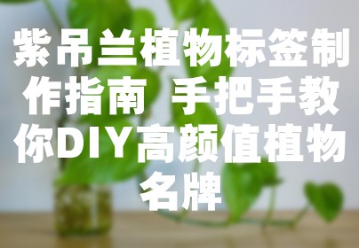 紫吊兰植物标签制作指南 手把手教你DIY高颜值植物名牌