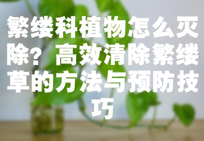 繁缕科植物怎么灭除？高效清除繁缕草的方法与预防技巧