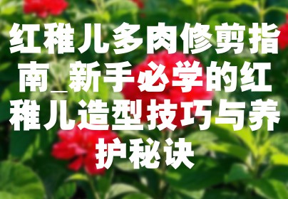 红稚儿多肉修剪指南_新手必学的红稚儿造型技巧与养护秘诀