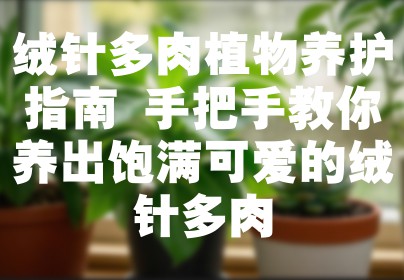 绒针多肉植物养护指南 手把手教你养出饱满可爱的绒针多肉