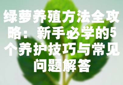 绿萝养殖方法全攻略：新手必学的5个养护技巧与常见问题解答