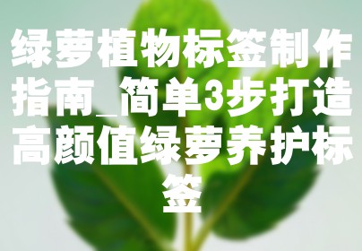 绿萝植物标签制作指南_简单3步打造高颜值绿萝养护标签