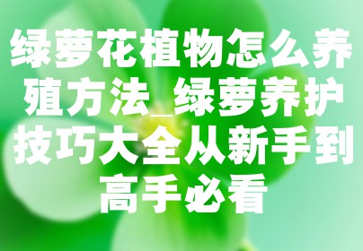 绿萝花植物怎么养殖方法_绿萝养护技巧大全从新手到高手必看