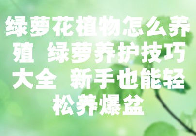 绿萝花植物怎么养殖 绿萝养护技巧大全 新手也能轻松养爆盆