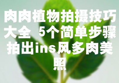 肉肉植物拍摄技巧大全 5个简单步骤拍出ins风多肉美照