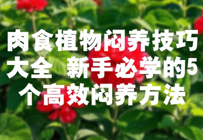 肉食植物闷养技巧大全 新手必学的5个高效闷养方法