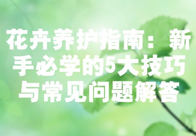 花卉养护指南：新手必学的5大技巧与常见问题解答