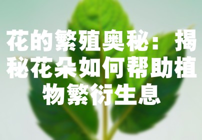 花的繁殖奥秘：揭秘花朵如何帮助植物繁衍生息