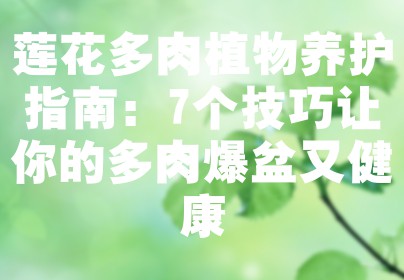 莲花多肉植物养护指南：7个技巧让你的多肉爆盆又健康