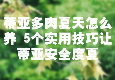 蒂亚多肉夏天怎么养 5个实用技巧让蒂亚安全度夏