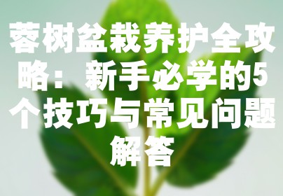 蓉树盆栽养护全攻略：新手必学的5个技巧与常见问题解答