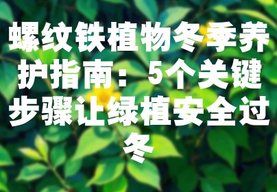 螺纹铁植物冬季养护指南：5个关键步骤让绿植安全过冬