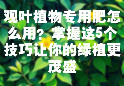 观叶植物专用肥怎么用？掌握这5个技巧让你的绿植更茂盛
