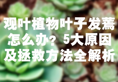 观叶植物叶子发蔫怎么办？5大原因及拯救方法全解析