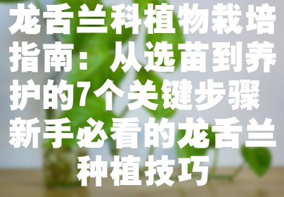 龙舌兰科植物栽培指南：从选苗到养护的7个关键步骤 新手必看的龙舌兰种植技巧