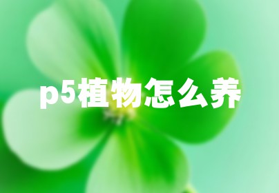 p5植物怎么养